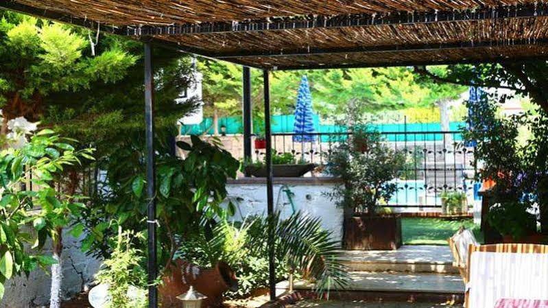 Guzelyali Hotel Ayvalı Εξωτερικό φωτογραφία