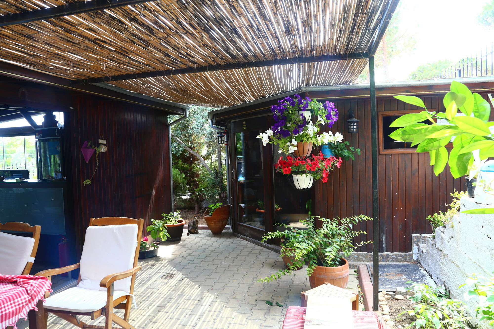 Guzelyali Hotel Ayvalı Εξωτερικό φωτογραφία