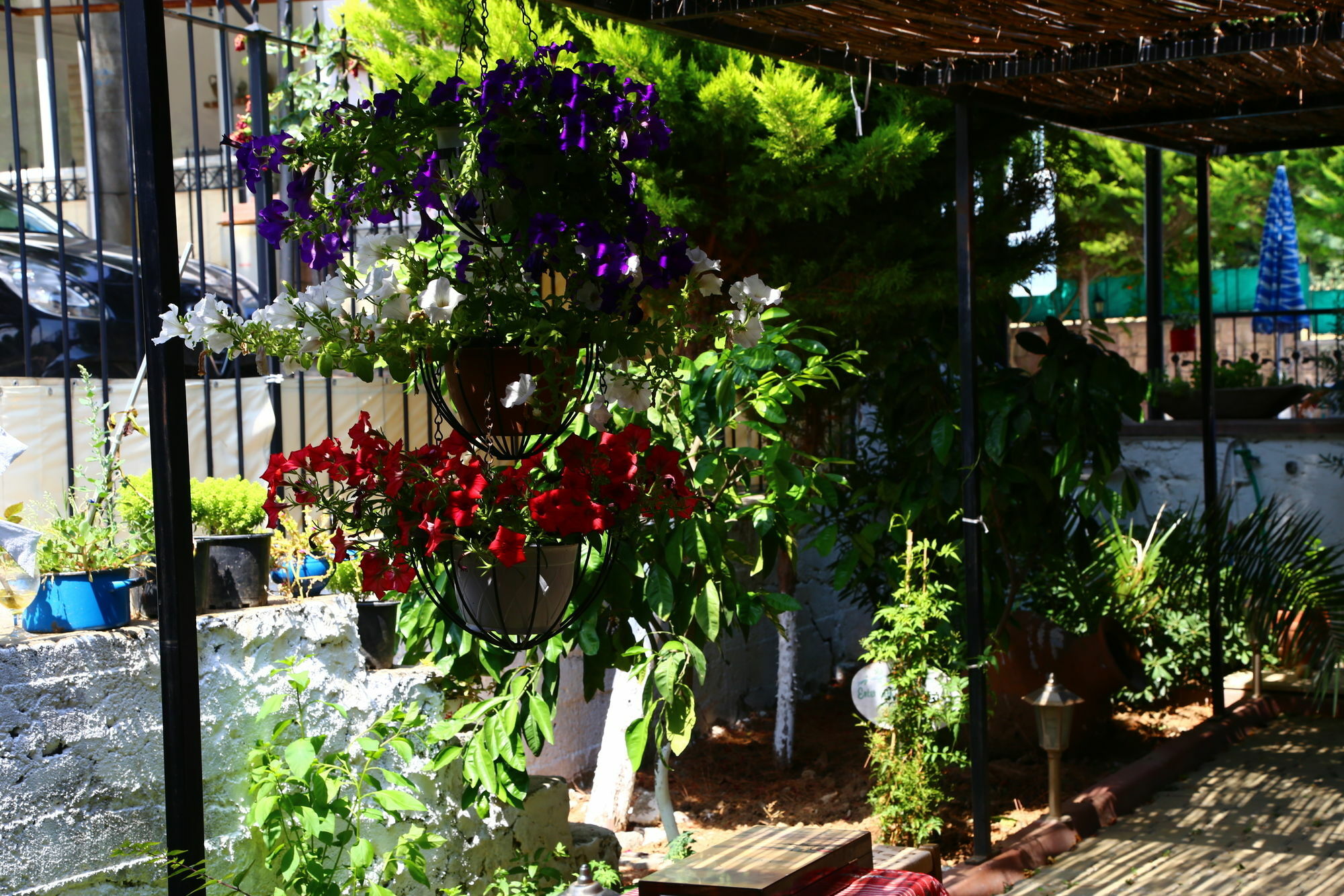 Guzelyali Hotel Ayvalı Εξωτερικό φωτογραφία